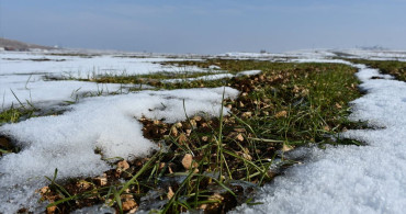Güneydoğu Anadolu'da Kar Yağışı Umutları Tazeliyor