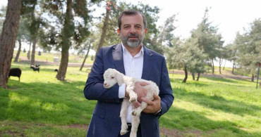 Gürsu Butik Hayvanat Bahçesi Yeni Sakinleriyle Açıldı