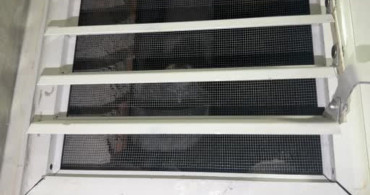 Güvercini kurtarmak için pencereyi söken muhabir, başardığı için sevindi