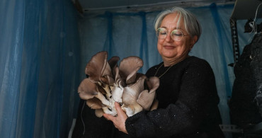 Güzelbahçe'de İstiridye Mantarında Kadın Kooperatifçiliği