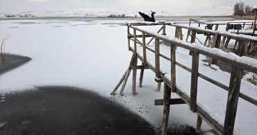 Hafik Gölü Kısmen Dondu