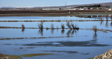 Hafik Lota Gölü'nde Su Seviyesi Rekor Düzeye Ulaştı