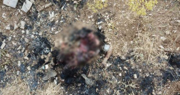 Haftanin'de Paramotor'la Saldıran Terörist 500 Metreden İşte Böyle İmha edildi