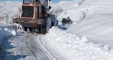 Hakkari ve Muş'ta Kapanan Yollar Yeniden Açıldı