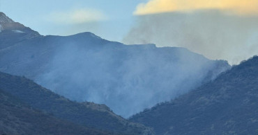 Hakkari'de Ağaçlık Alanda Yangın Kontrol Altına Alındı