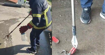 Hakkari'de aracın motor bölmesine giren yılan çıkarıldı