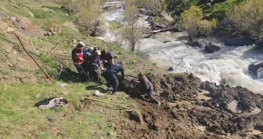 Hakkari'de Bataklığa Saplanan İnek Kurtarıldı