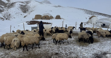 Hakkari'de Besiciler Kar ve Soğukla Mücadele Ediyor