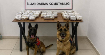 Hakkari'de jandarma uyuşturucu operasyonu: 21 kilo 650 gram toz esrar ele geçirildi