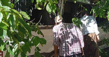 Hakkari’de park halindeki minibüsün üzerine ceviz ağacı devrildi