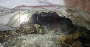 Hakkari'de Tosun Kurtarma Operasyonu