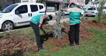 Haliliye Belediyesi'nden Yaz Öncesi Park Düzenlemeleri