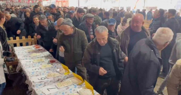 Halk Jürisi En İyi Keçi Peynirini Seçti