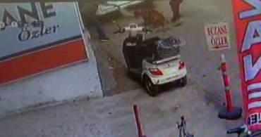 Hamile Kediyi Köpeğin Önüne Atıp Parçalatan 3 Çocuk Gözaltına Alındı
