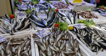 Hamsi ve İstavrit Yüzleri Güldürdü