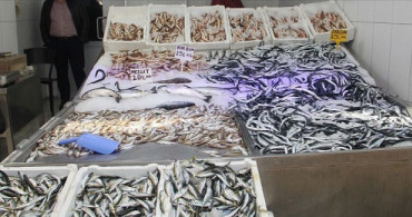 Hamsi ve Palamutun Tezgahlardaki Yerini Dip Balıkları ile İstavrit Aldı