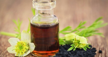 Hangi Bitkisel Yağlar Kilo Vermeye Yardımcı Olur?