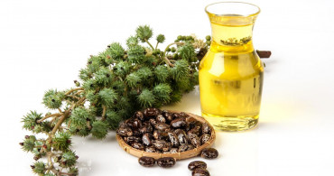 Hangi hastalıklar bele vurur? Bel ağrısının ilacı Hint yağında saklı