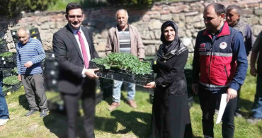 Hanönü'de 30 Bin Fide Dağıtıldı