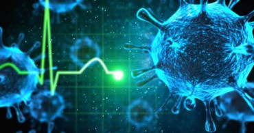 Hantavirüs Nedir, Nerede Çıktı? Hantavirüs Belirtileri Nelerdir?