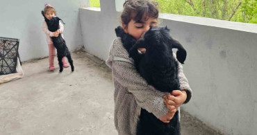 Hasköy'de Gök Gürültüsünden Kaçan Yavru Keçiler Balkona Sığındı