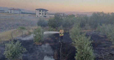 Hassa'da bahçede yangın kontrol altına alındı