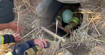 Hassa'da kuyuya düşen 2 koyun itfaiye ekipleri tarafından kurtarıldı