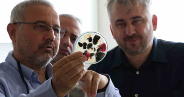 Hatay Tarımında İnovasyon: HBB ve HMKÜ İş Birliği