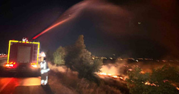 Hatay'da Anız Yangını Zeytinliğe Sıçradı