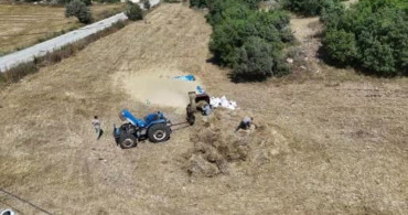 Hatay'da buğday hasadı kavurucu sıcaklıkta sürüyor