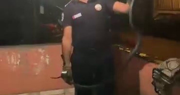 Hatay'da bulaşık makinesine giren 2 metrelik karayılan itfaiye tarafından çıkarıldı