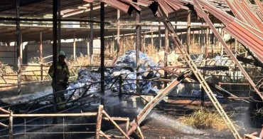 Hatay'da depo yangını: Kırıkhan'daki depo kül oldu