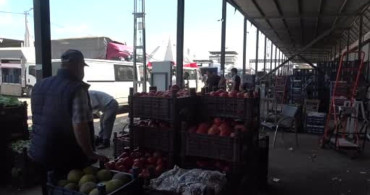 Hatay'da domates fiyatları 15 TL'ye geriledi