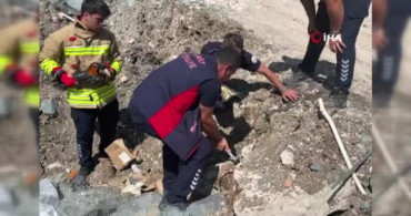 Hatay’da hafriyat altında sıkışan yavru kediler itfaiye ekipleri tarafından kurtarıldı