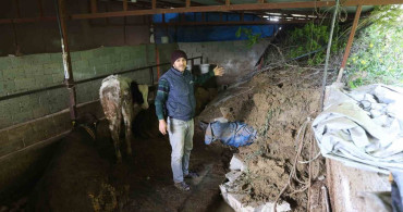 Hatay'da Heyelan Sonrası Mahsur Kalan Hayvanlar