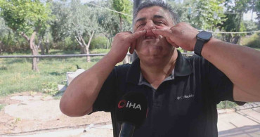 Hatay'da kuyumcuya meydan dayağı atan kardeşlere 420 bin TL ceza