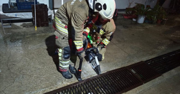 Hatay'da Mahsur Kalan Kedi ve Yavruları Kurtarıldı
