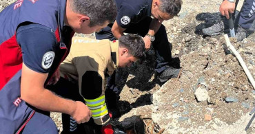 Hatay'da nand kedi yavruları itfaiye ekipleri tarafından kurtarıldı