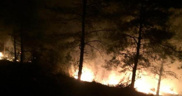 Hatay'da Orman Yangını Çıktı