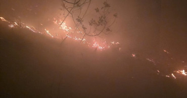 Hatay'da Orman Yangınına Müdahale