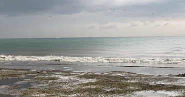 Hatay'da Sağanak ve Dolu Etkisini Gösterdi