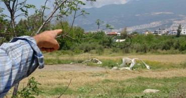 Hatay'da Sel Felaketi: Şahut Kimyonok'un Evi Sular Altında