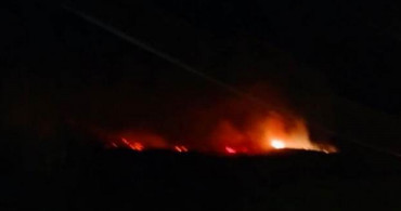 Hatay'da Yine Yangın! Ciğerlerimiz Yanıyor