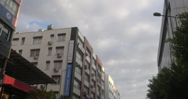 Hatay'da Yorgun Düşen Ebabil Kuşları Koruma Altına Alındı