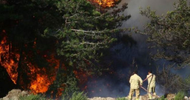 Hatay'daki Orman Yangınlarıyla İlgili 2 Kişi Tutuklandı