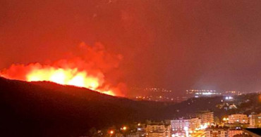 Hatay'daki Yangında Molotof Kokteyli İddiası