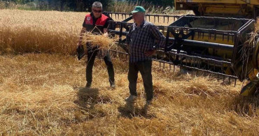 Havran'da hububat hasat kontrolleri sürüyor