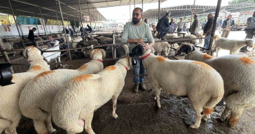 Havran'daki Gelinlik Kurban Geleneği ve Fiyatları