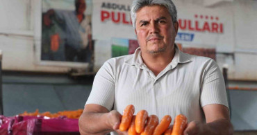 Havuç üretiminin yüzde 67’si Konya’dan
