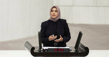 Hayvan Hakları Kanunuyla İlgili Yasa Tasarısı Yolda